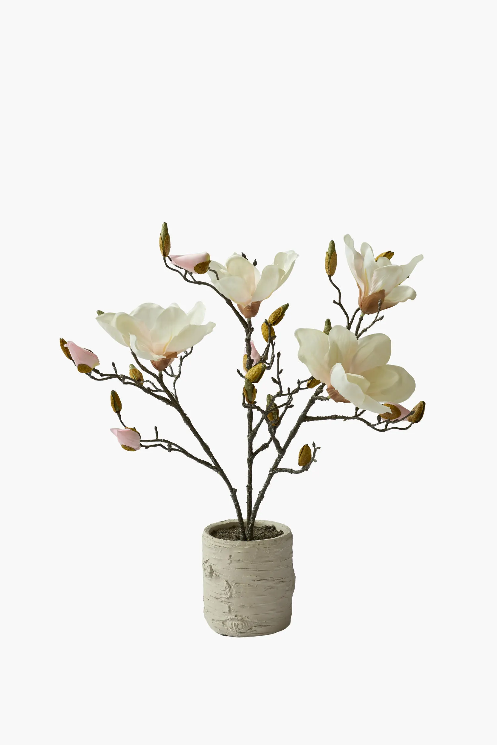 Short Branch Magnolia Potted - Light Pink