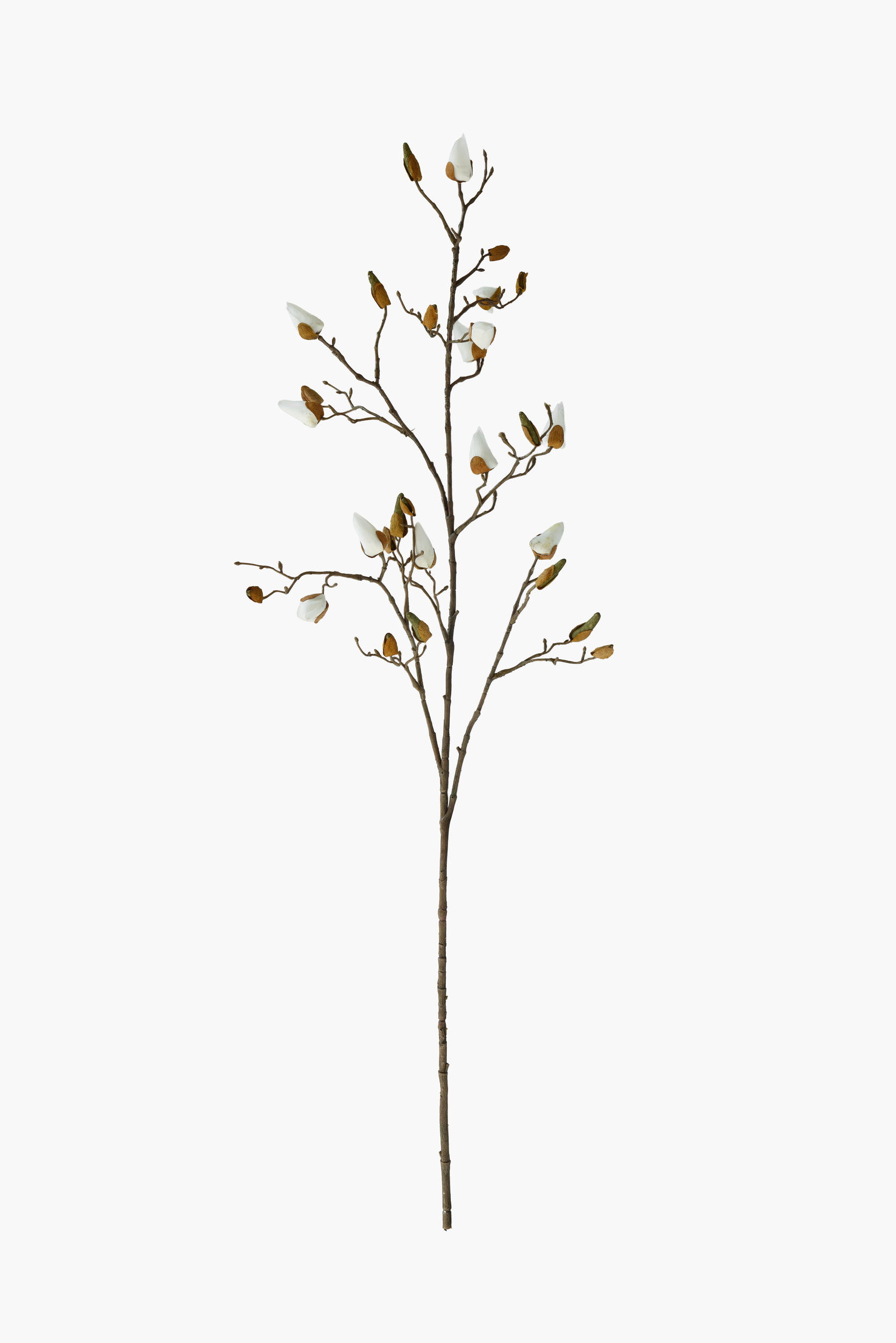 Large Branch Magnolia Buds - White (Real Touch)