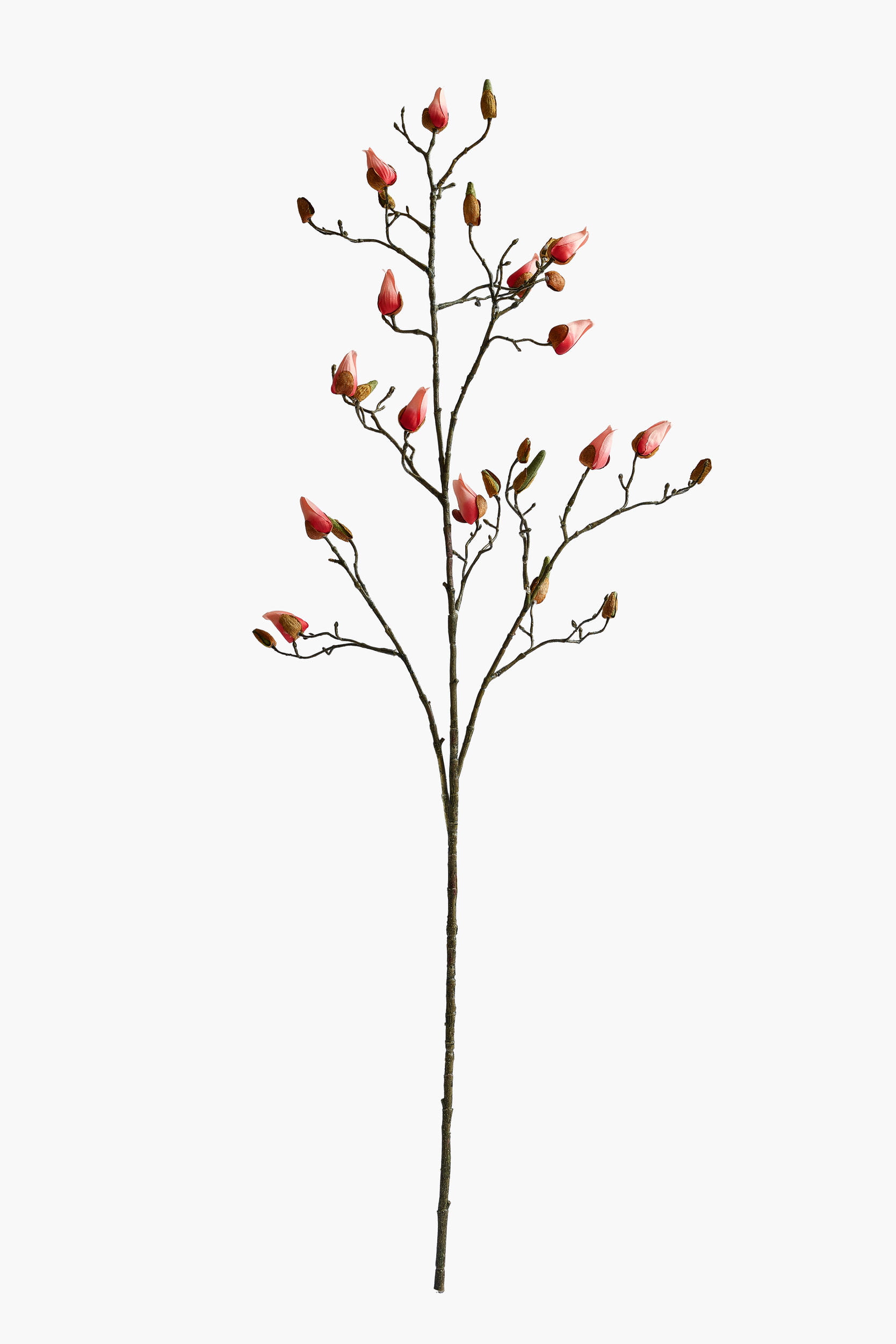 Large Branch Magnolia Buds - FuchiaPink