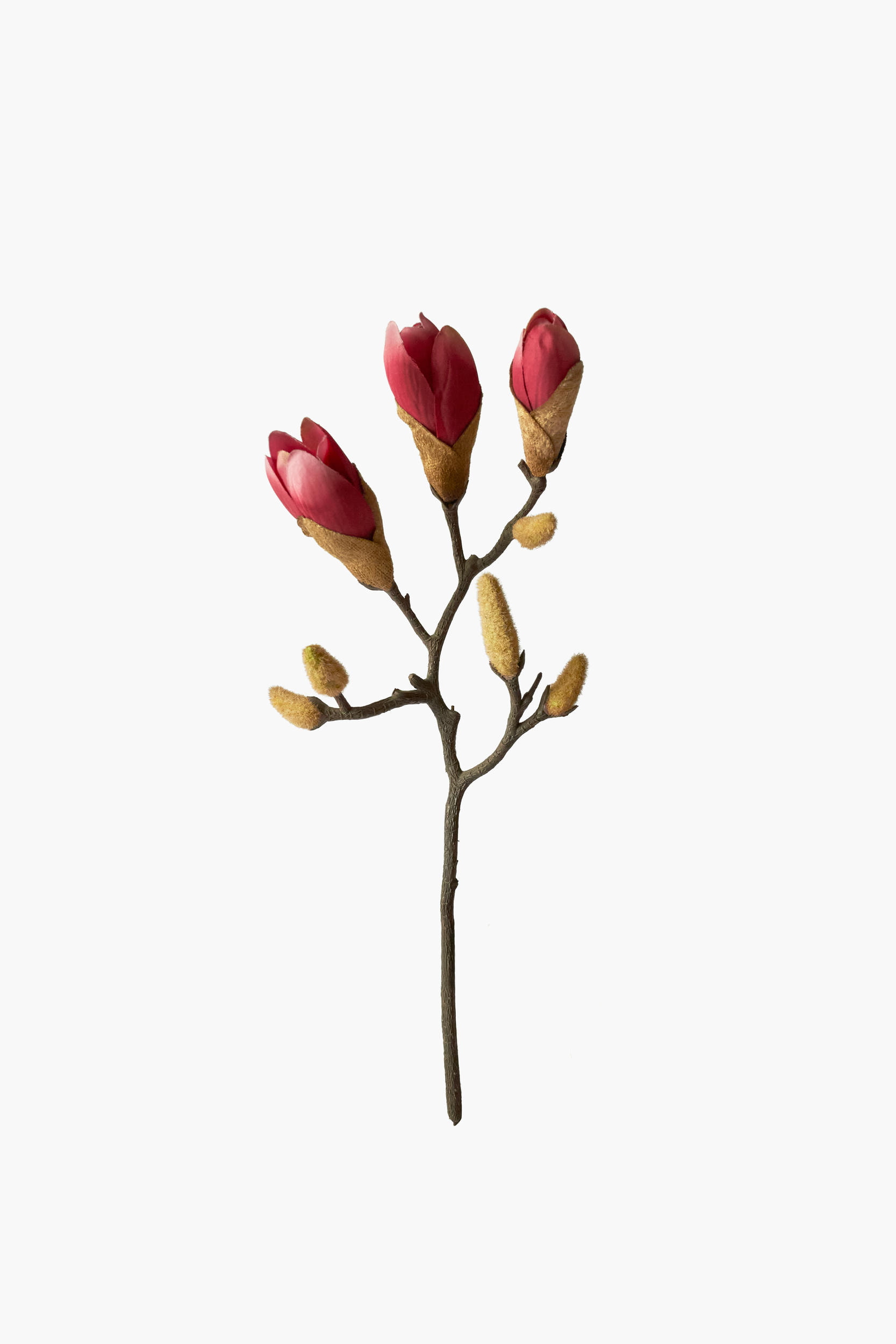 Short Branch Magnolia Buds - Red