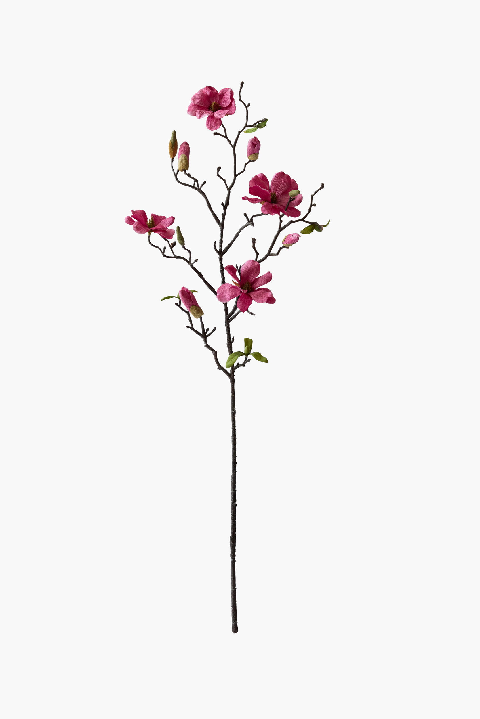 Medium Branch Saucer Magnolia - Red (Cotton Fabric)