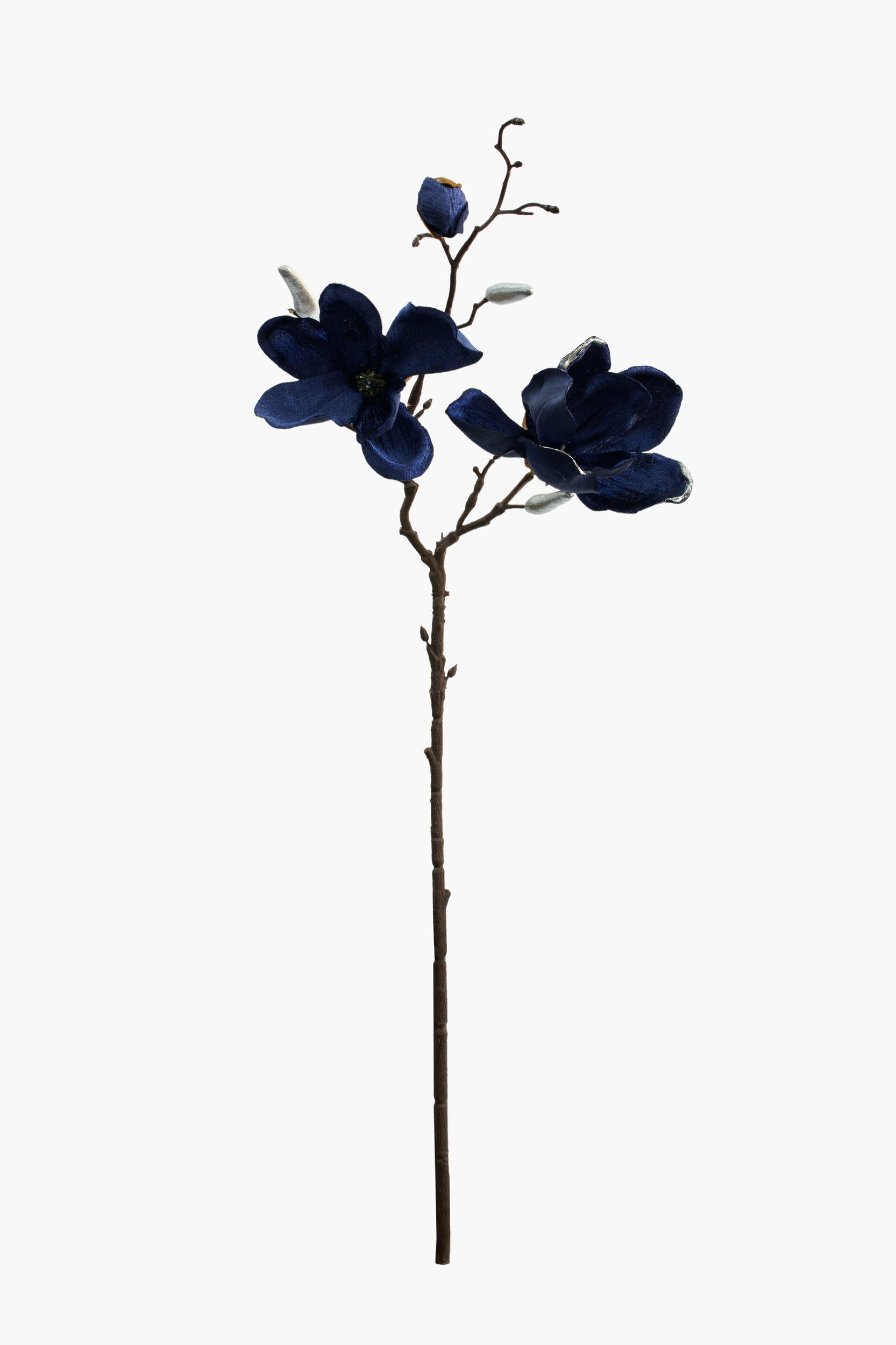 Short Branch Yulan Magnolia - Blue (Gilded Edge)