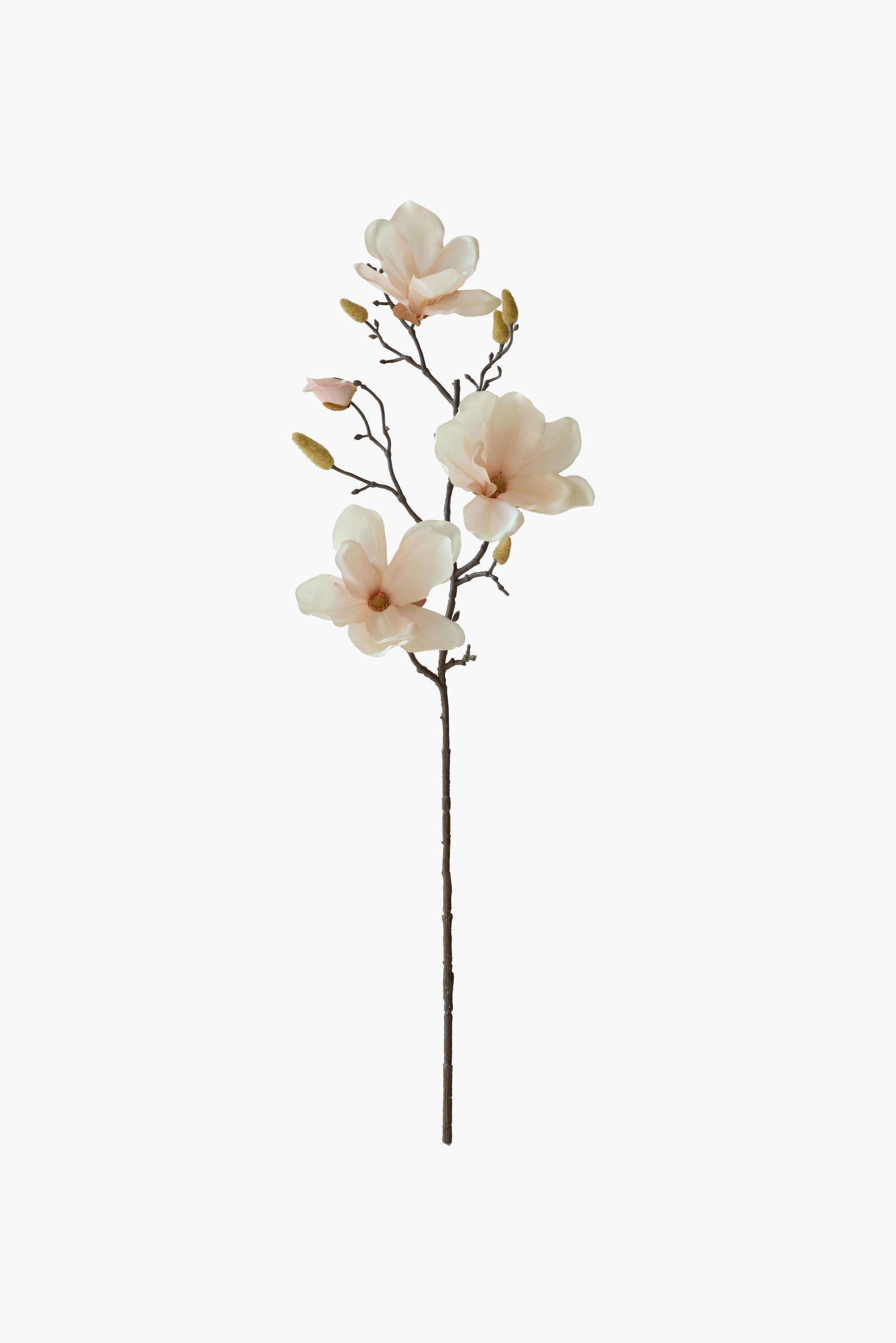 Medium Branch Yulan Magnolia - Pink