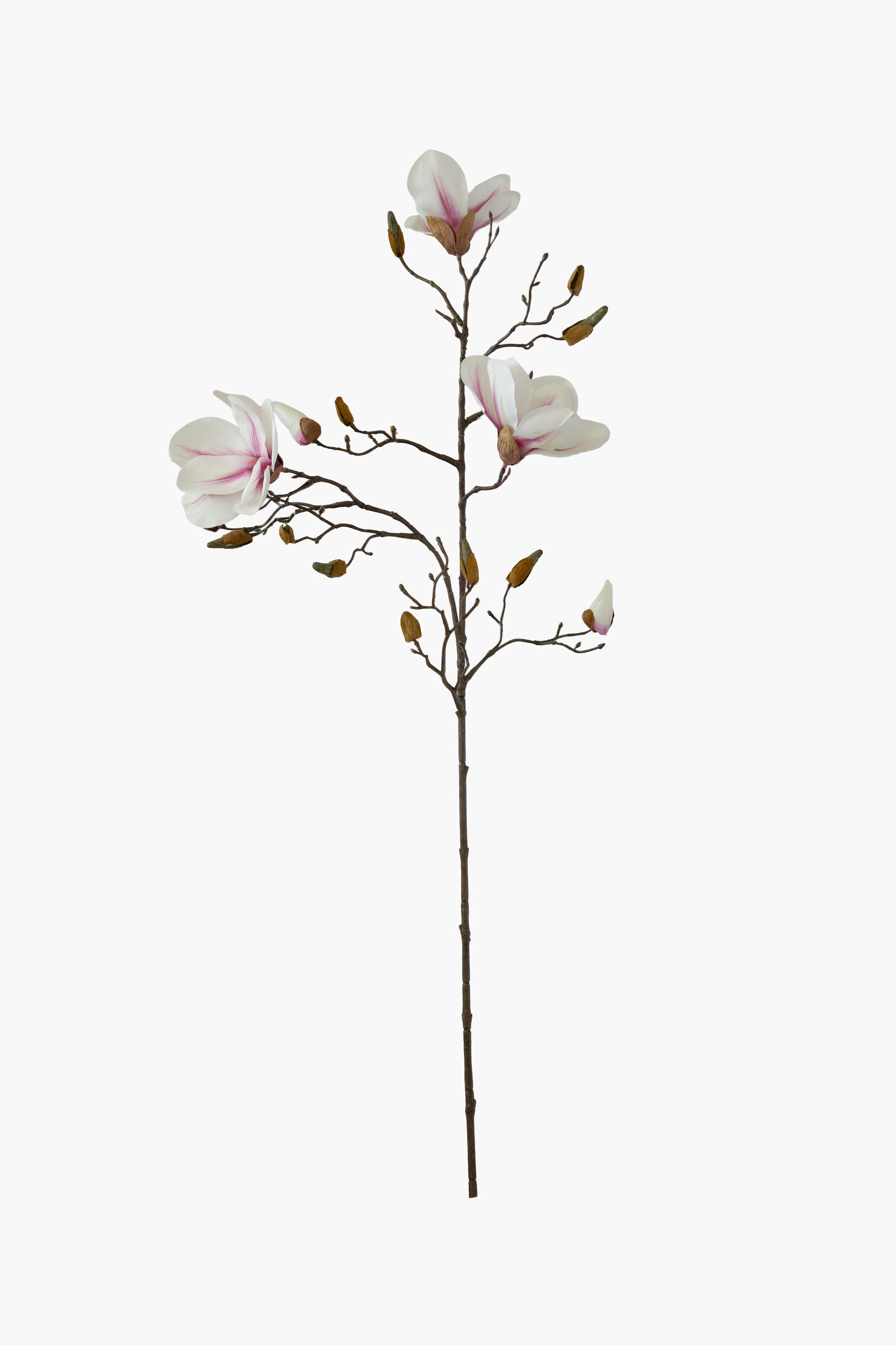 90cm Medium Branch Yulan Magnolia (Real Touch) - White