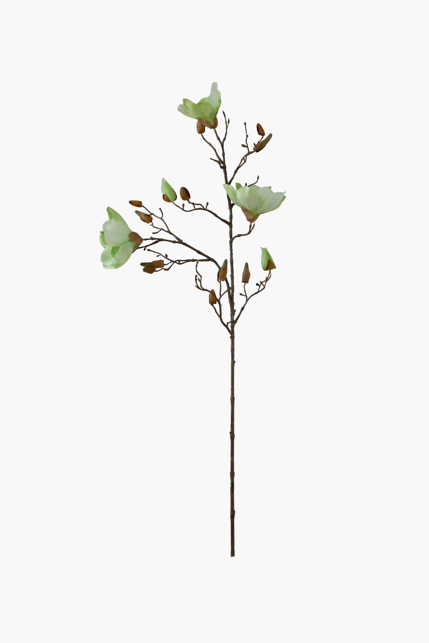 90cm Medium Branch Yulan Magnolia (Texture Printed Fabric) - Green (Textured)