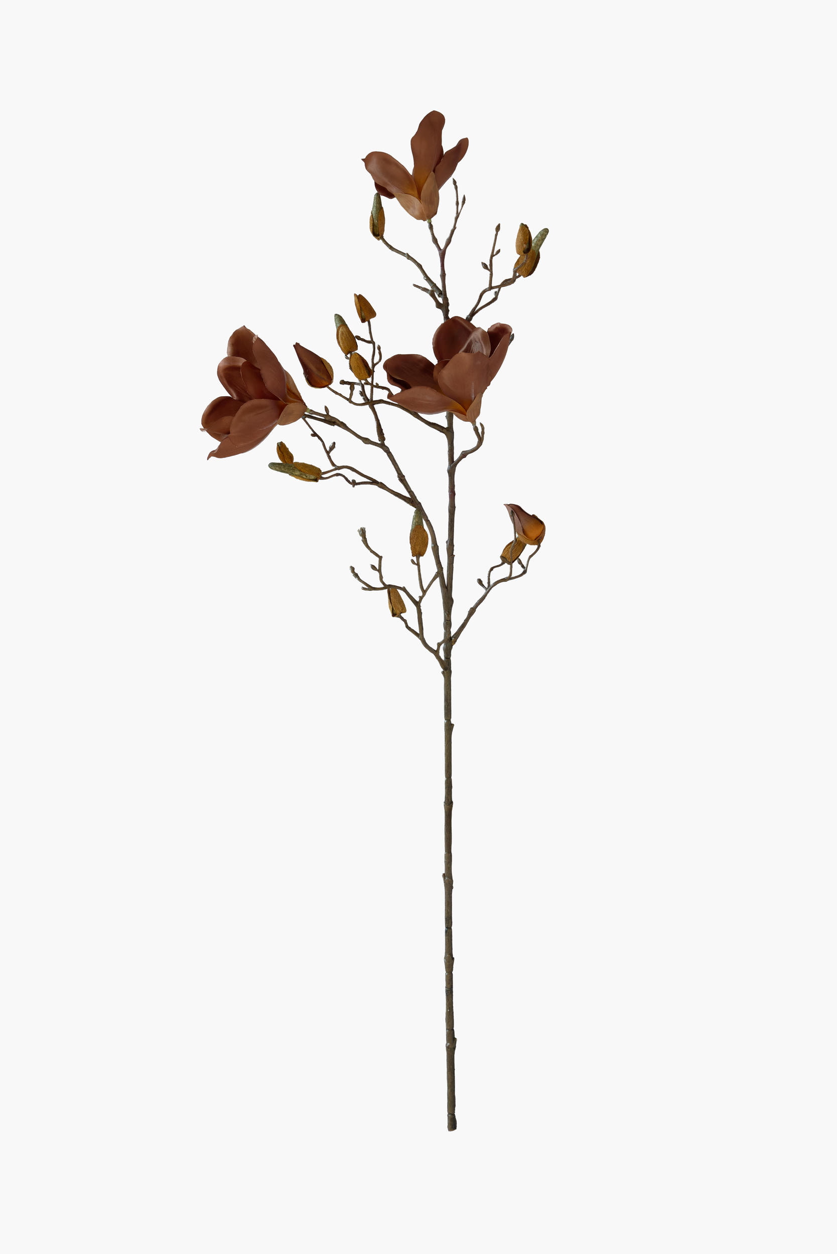 90cm Medium Branch Yulan Magnolia (Silk Fabric) - Brown