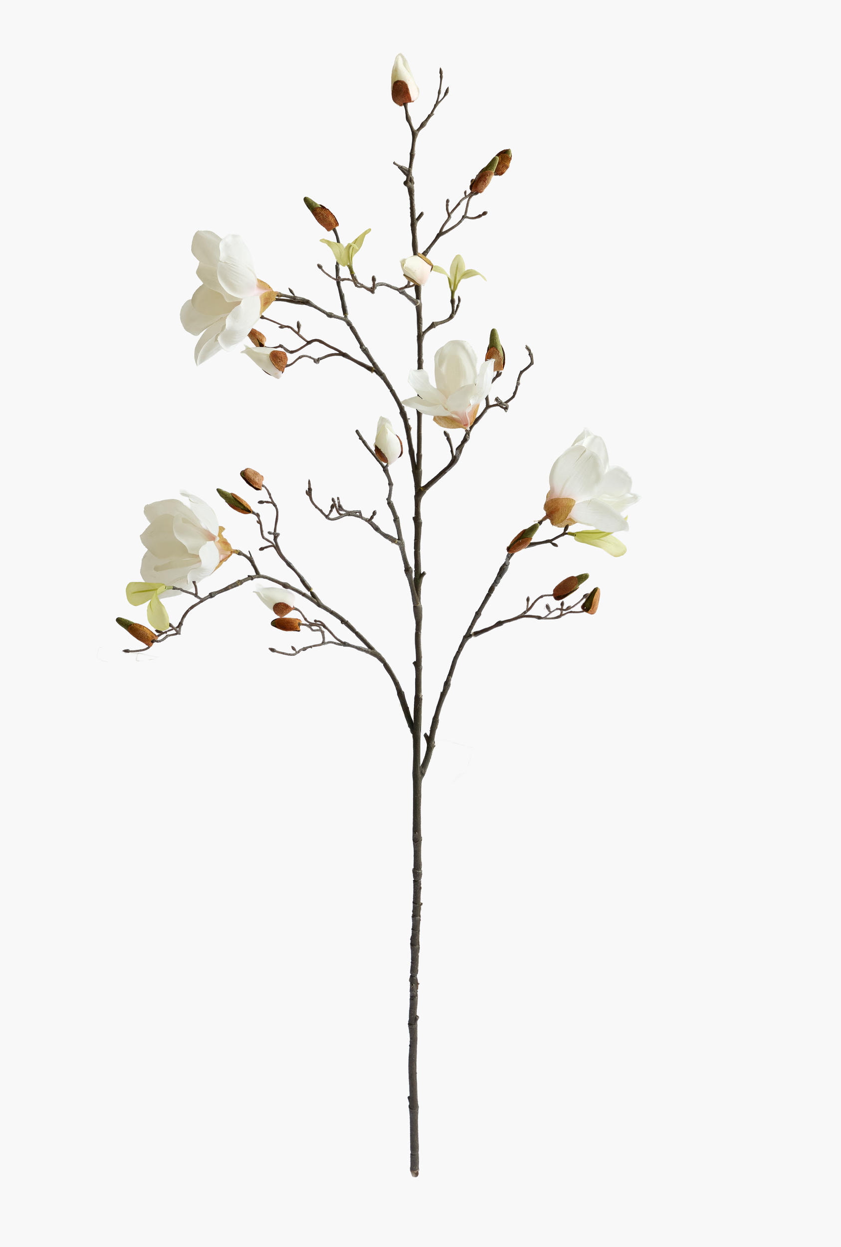 112cm Large Branch Yulan Magnolia - Light Pink (With Leaves)