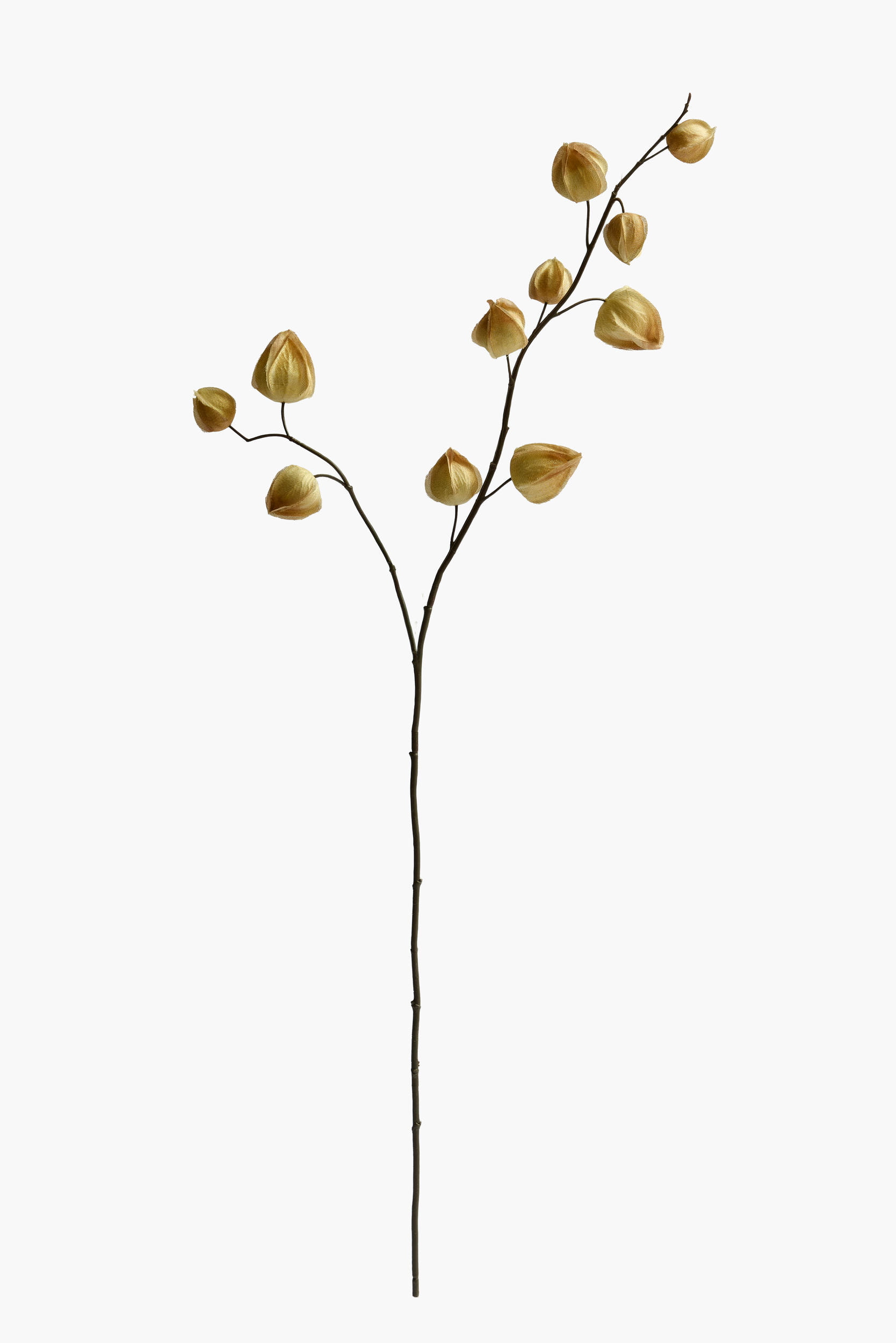 Medium Branch Physalis - Color 06