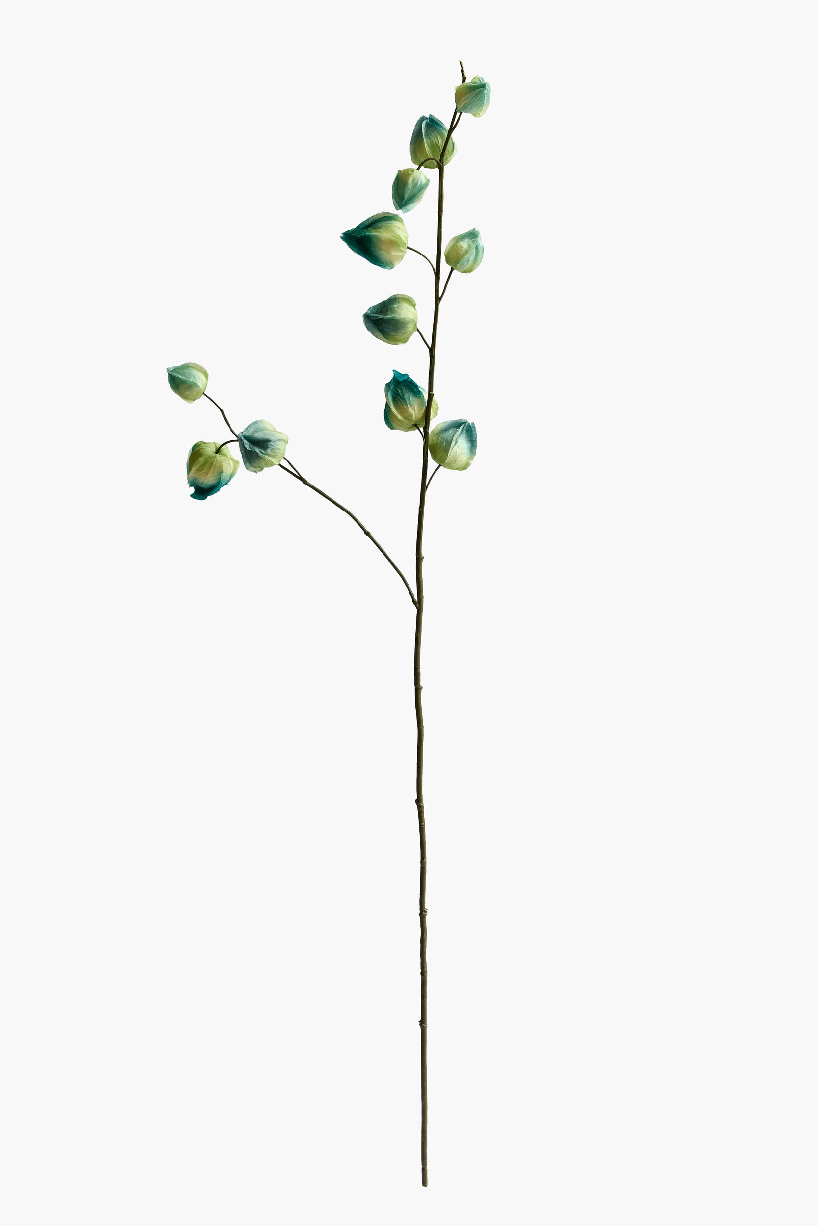 Medium Branch Physalis - Color 11