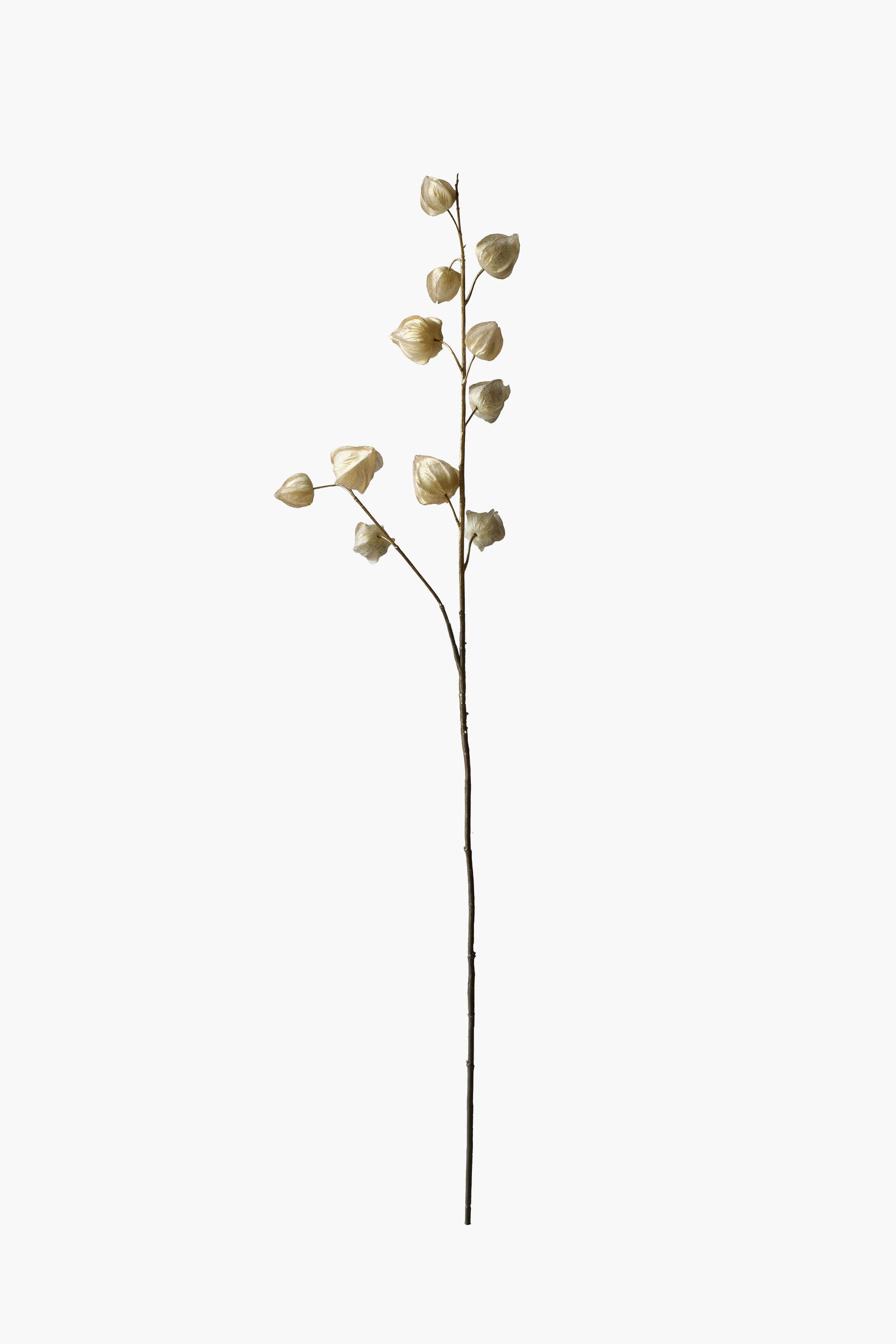 Medium Branch Physalis - Light Yellow (Metallic Finish)