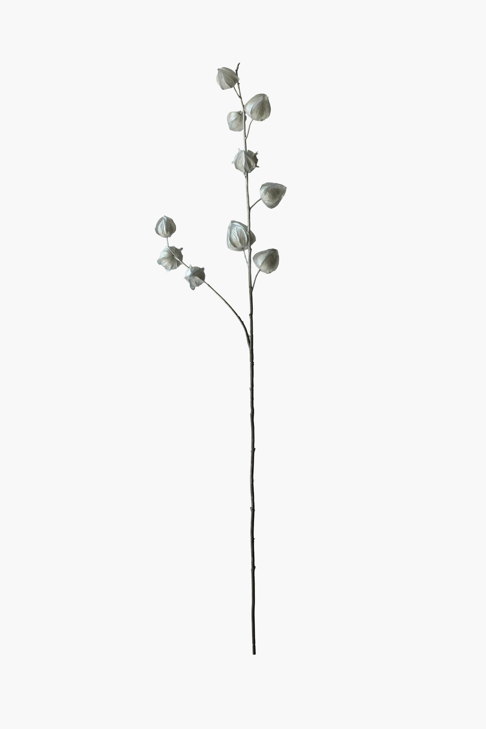 Medium Branch Physalis - Silver (Metallic Finish)
