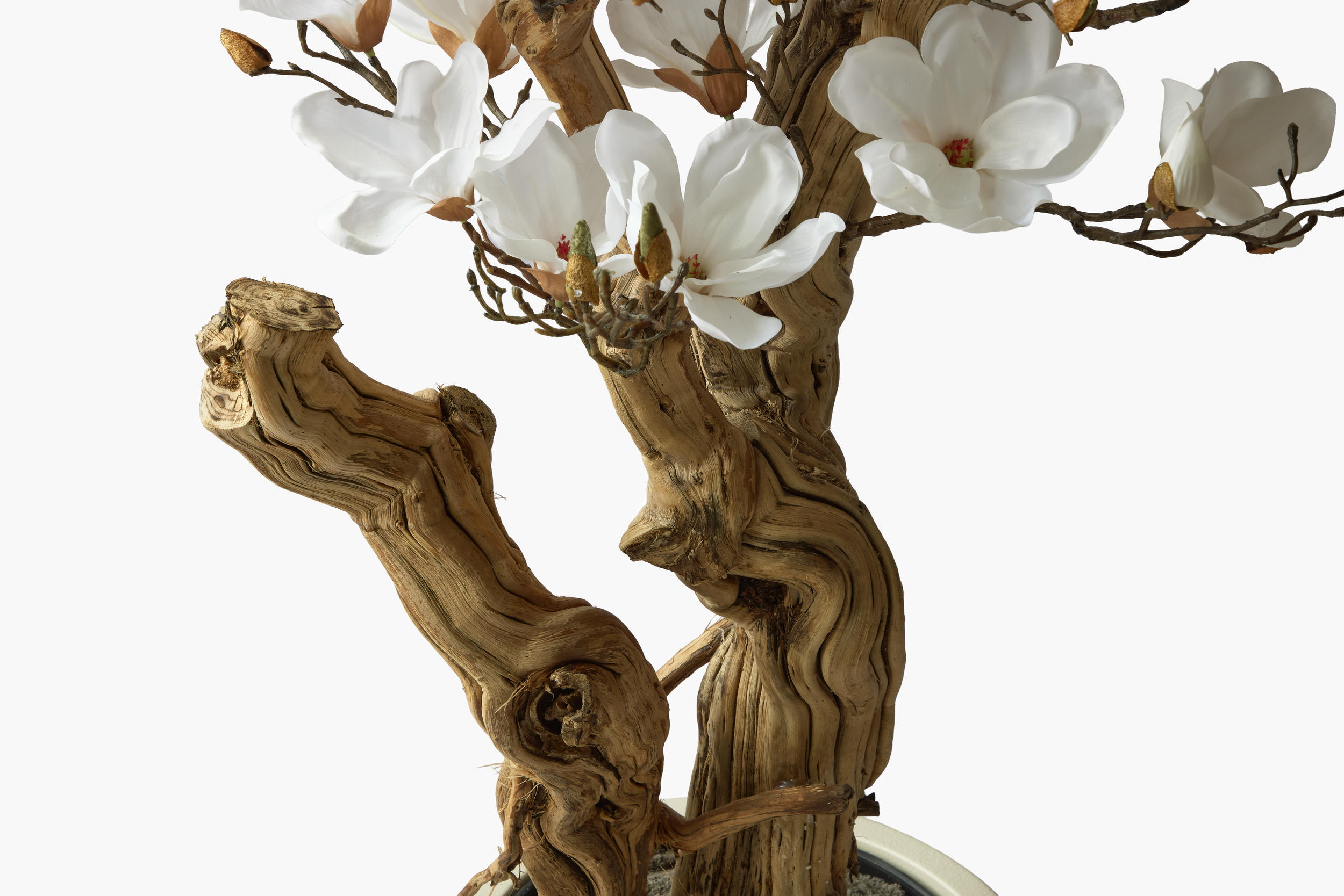 Magnolia Tree - Cream (180 cm), alternate angle 2