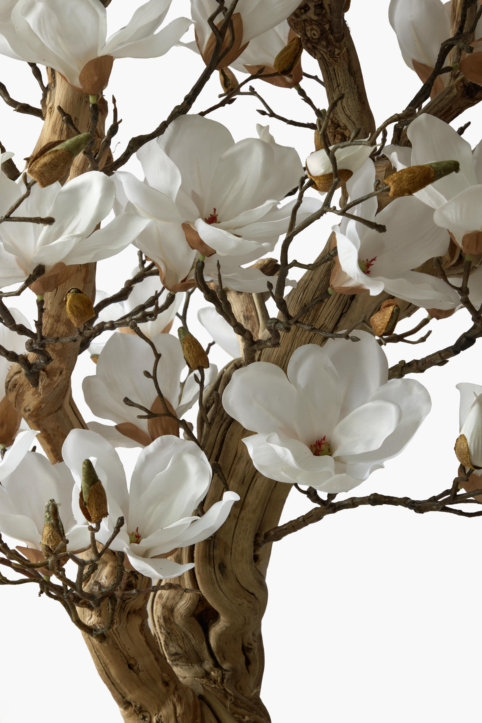 Magnolia Tree - Cream (180 cm), alternate angle 3