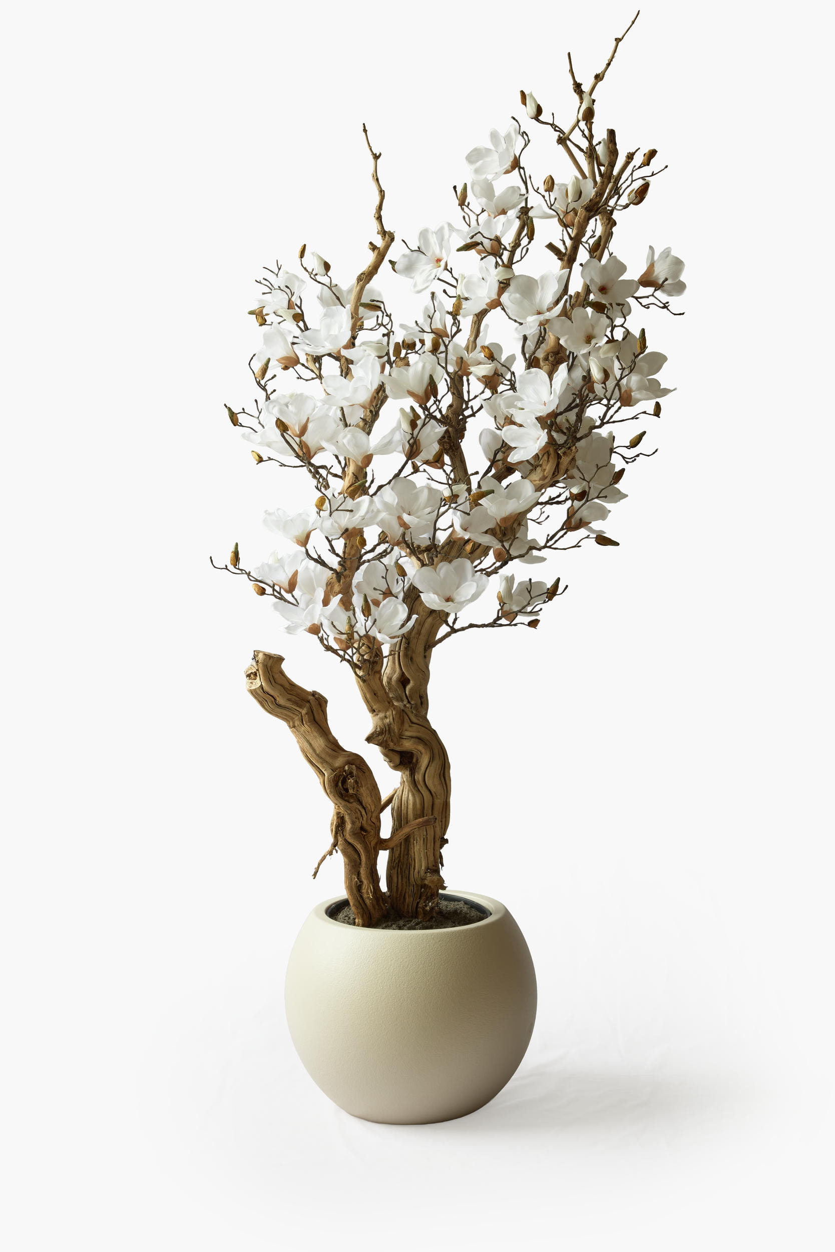 Magnolia Tree - Cream (180 cm), alternate angle 1