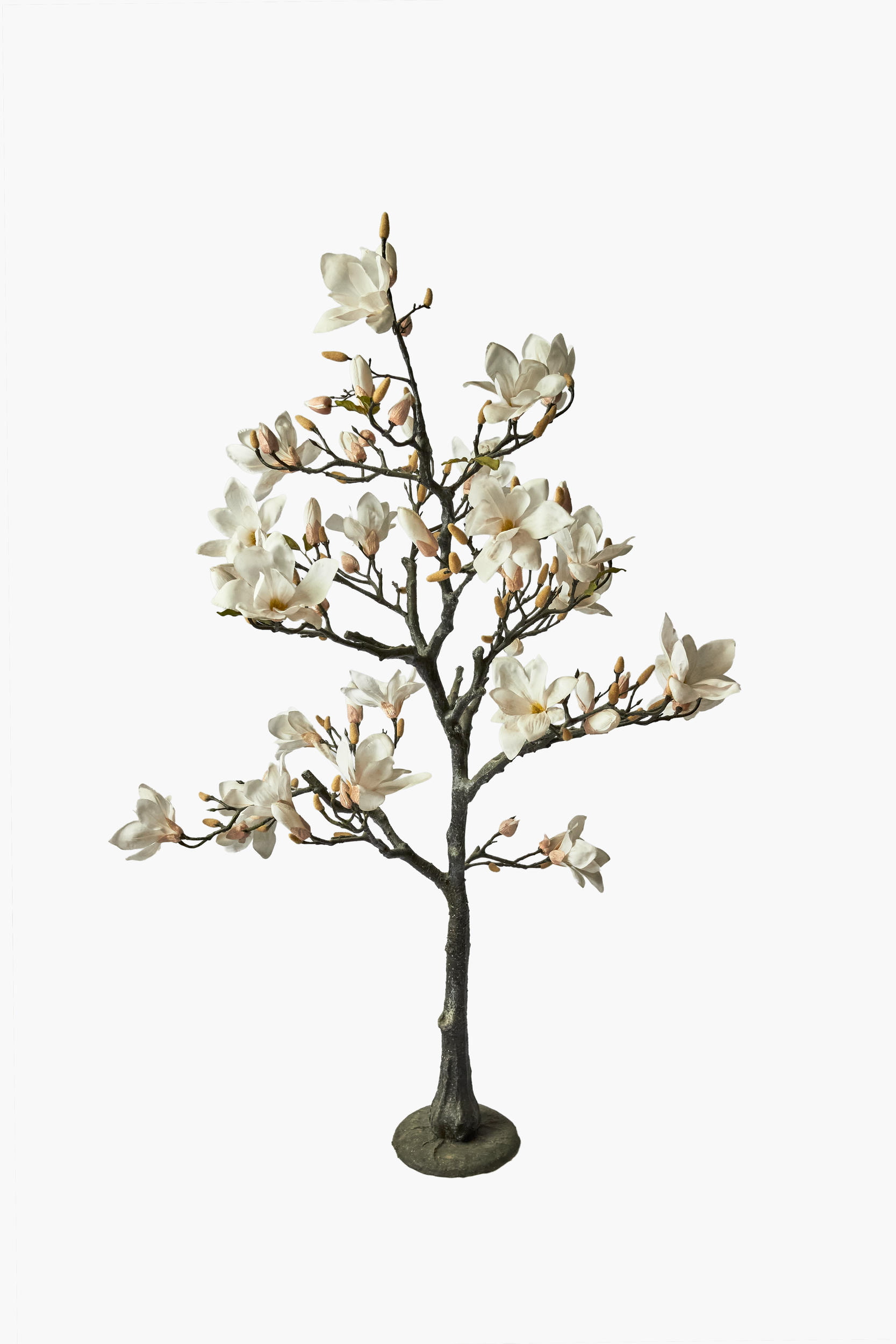 Magnolia Tree - Cream
