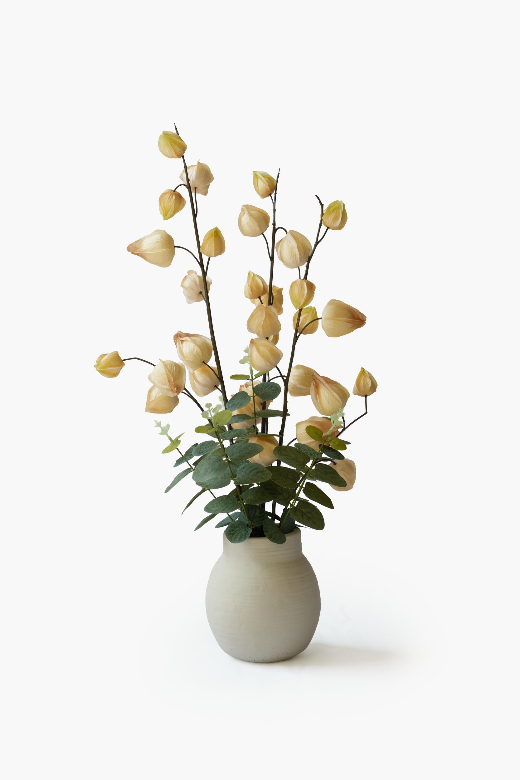 Physalis Collection - Light Yellow