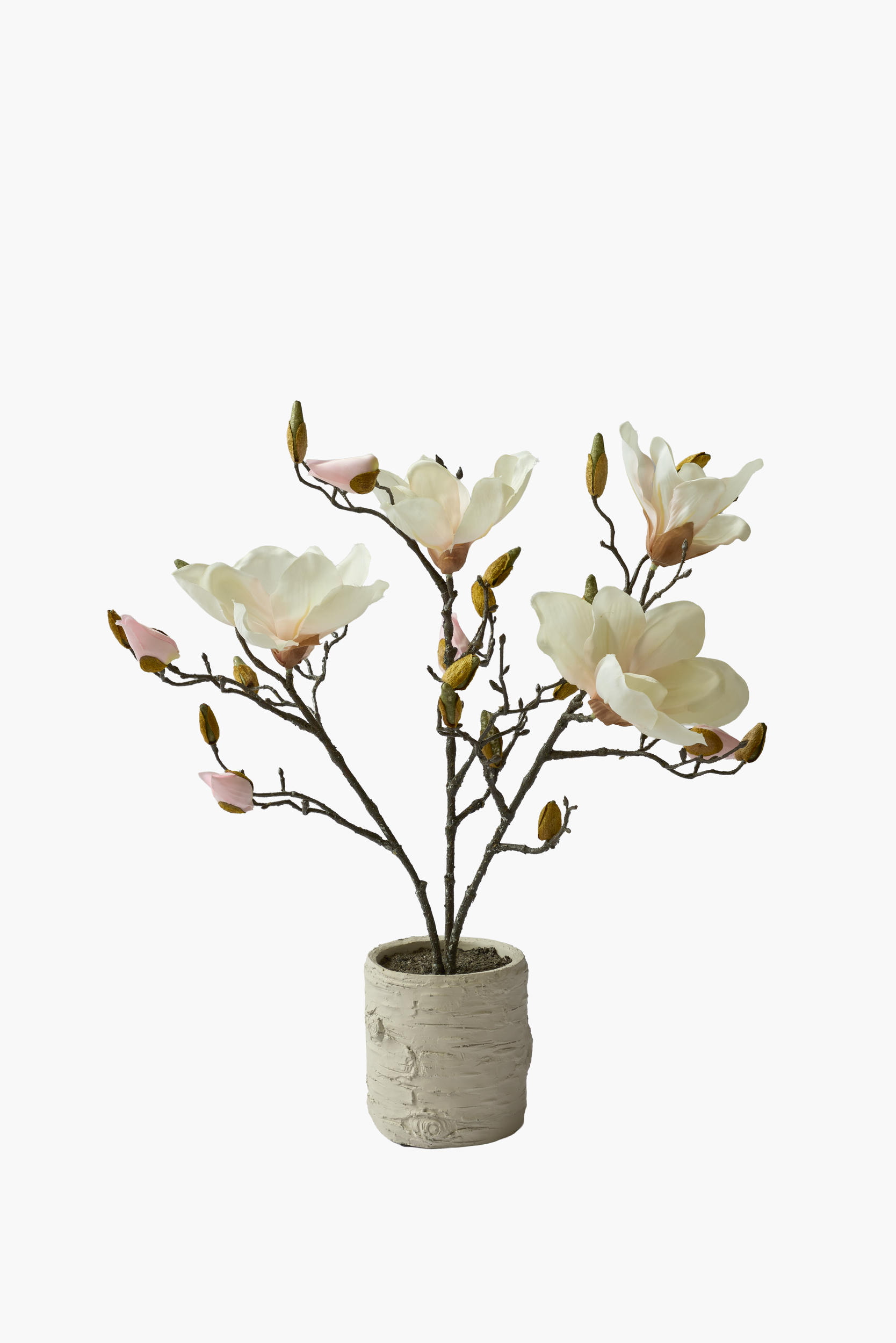 Short Branch Magnolia Potted - Light Pink