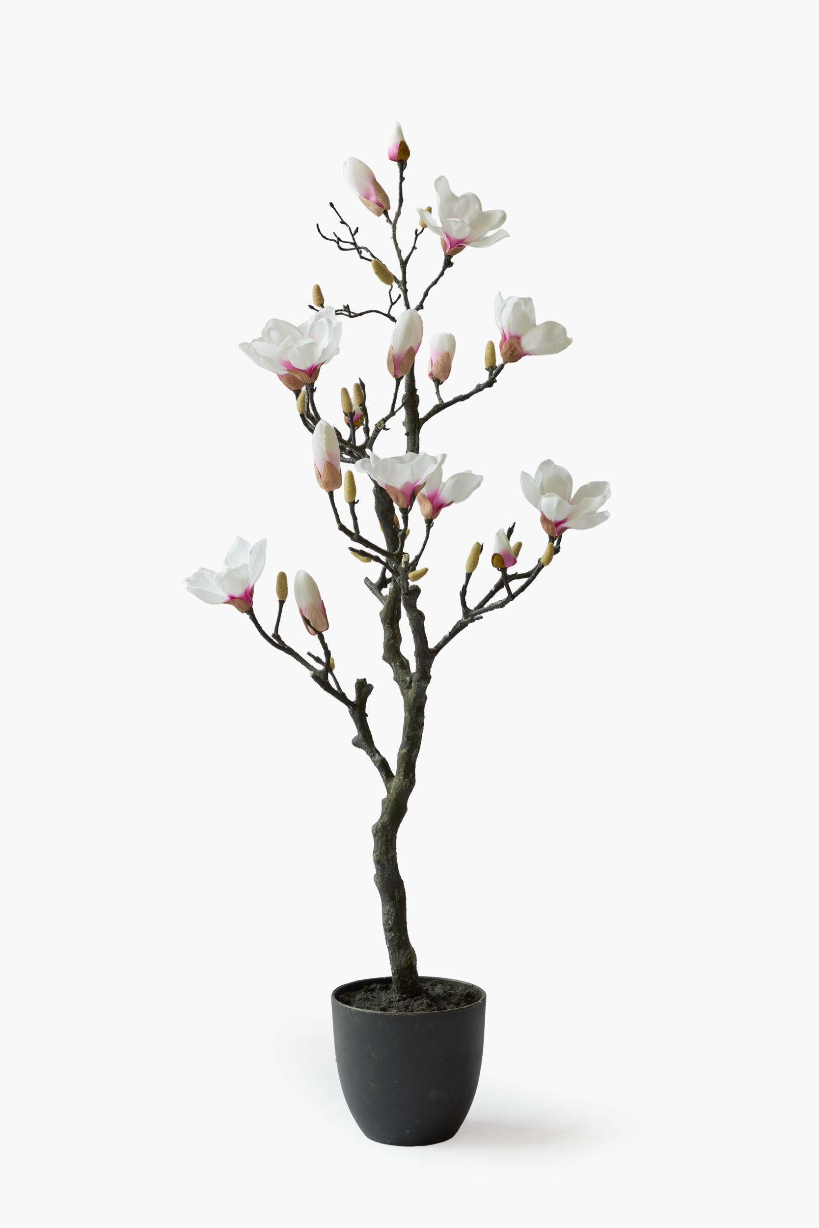 Large Branch Potted Collection - Light Pink