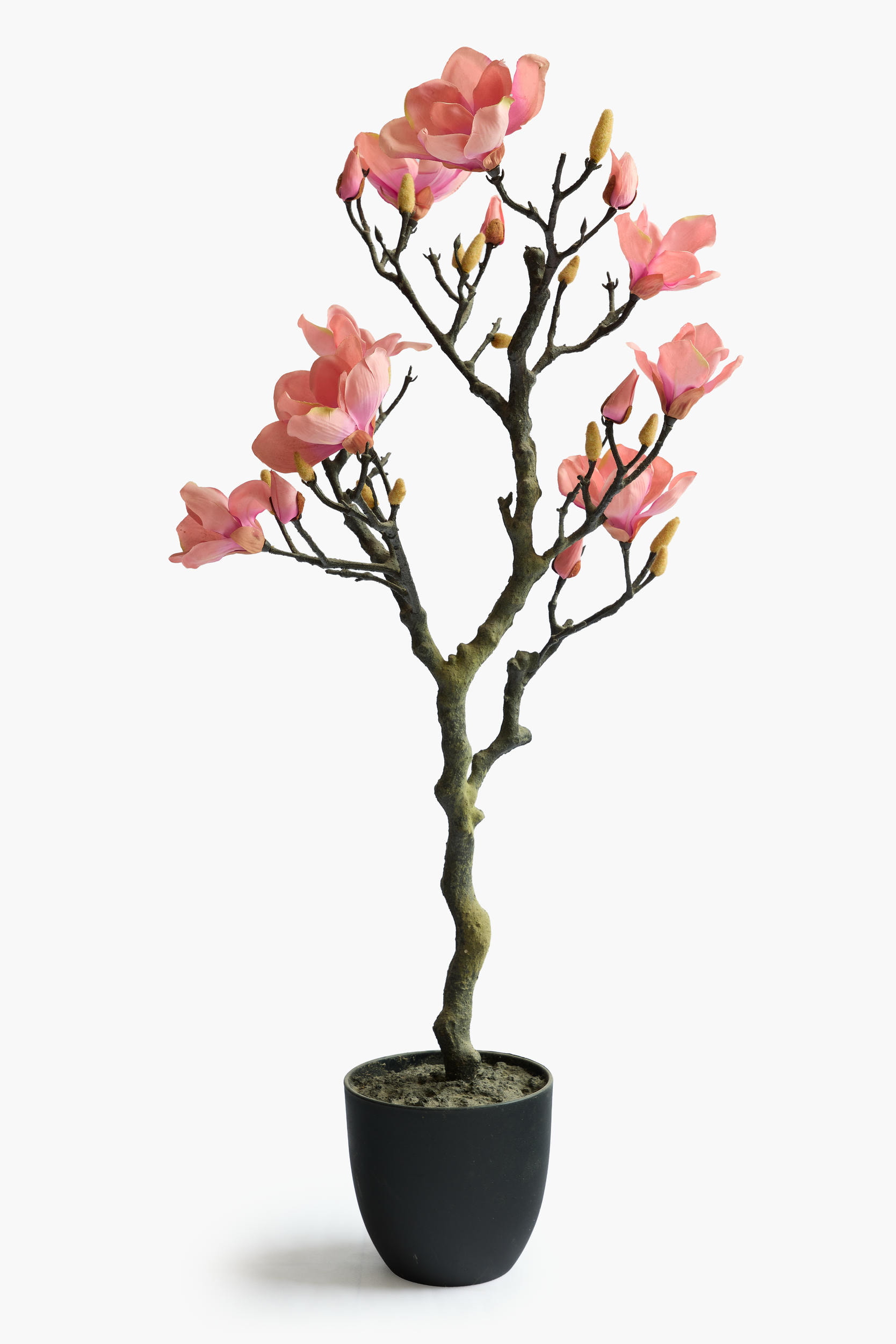 Large Branch Potted Collection - Pink