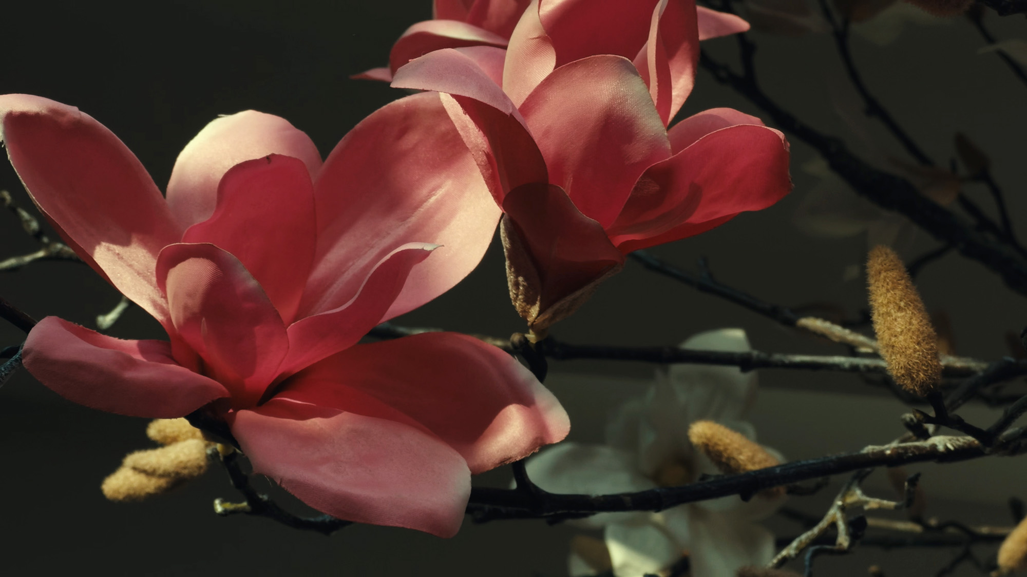 Manufacturing standards and quality control